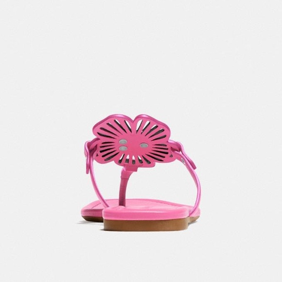 🎀 Coach Julia Sandal size 6 - Picture 7 of 11
